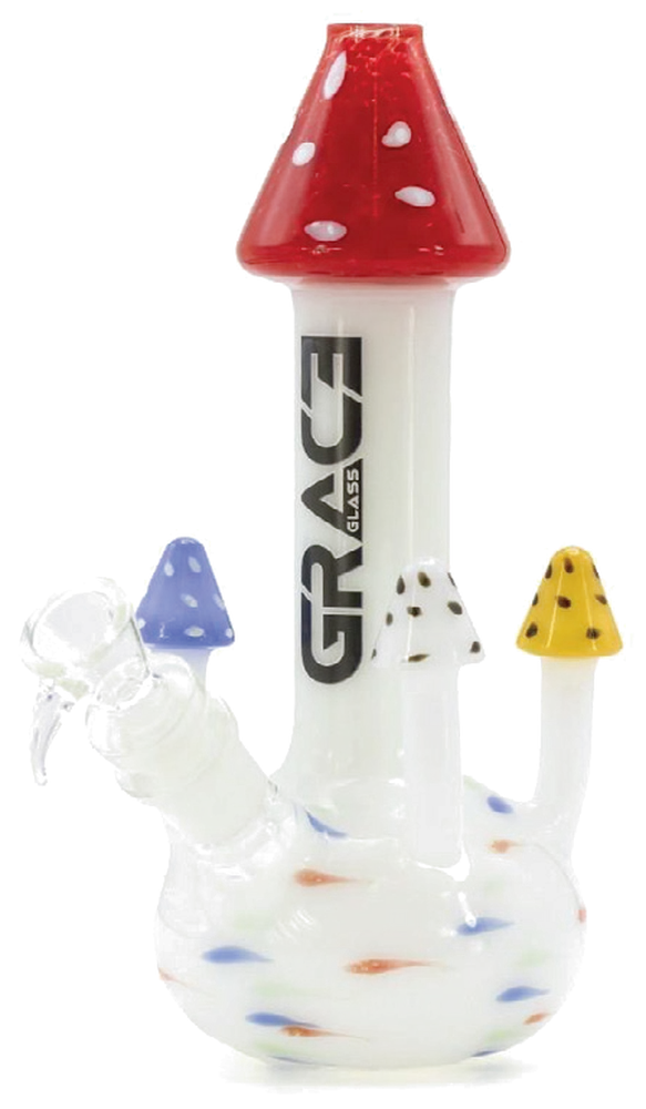 Magic Mushrooms in Red Top